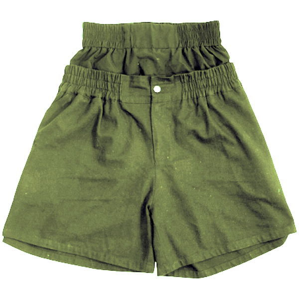 Double Waisted Shorts (Green)